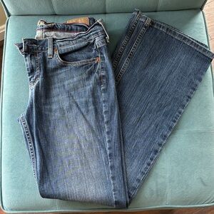 American Eagle Outfitters Blue Flare Jeans